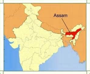 ASSAM  LOCATOR  MAP 