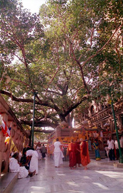 Bodhgaya