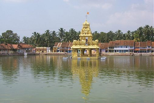  TEMPLE POOL