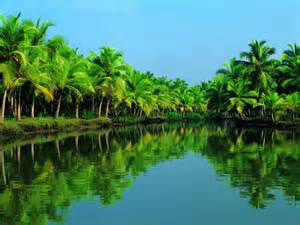This is an example of Kerala’s lush “backwaters”