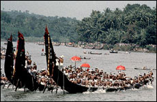 Snake Boat Race