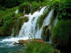 Cherapunji  Falls