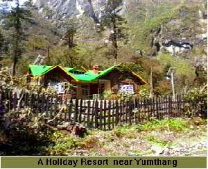 yumthang