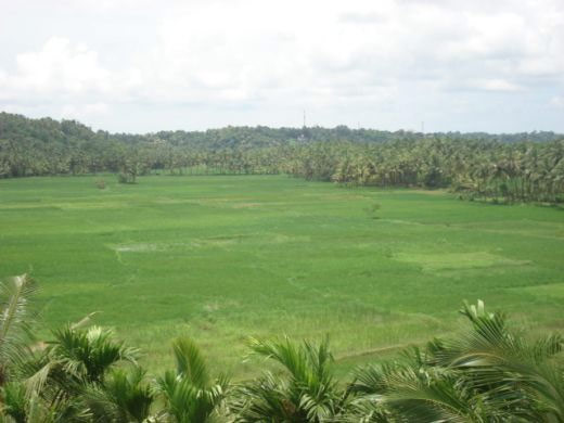 kerala