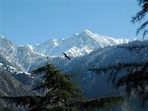 scenery
