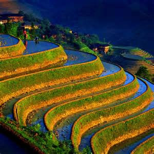 scenery